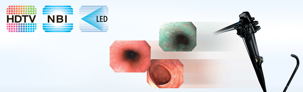 ОПИСАНИЕ ОБОРУДОВАНИЯ: